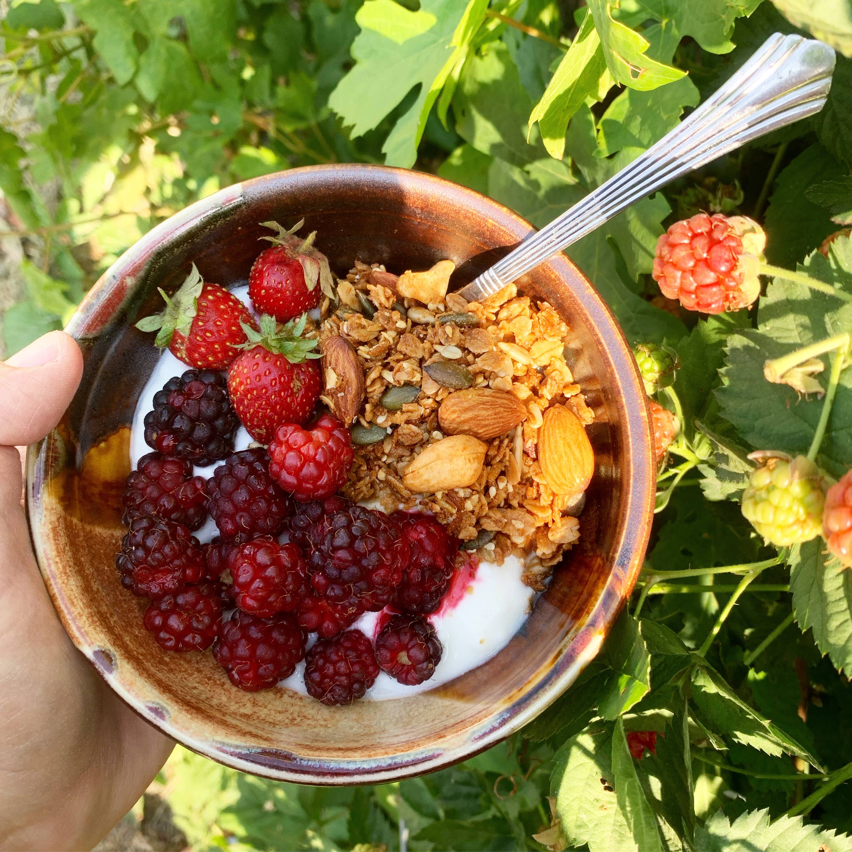 Bearclaw Kitchen Honey Run Granola – 2oz Gift Size