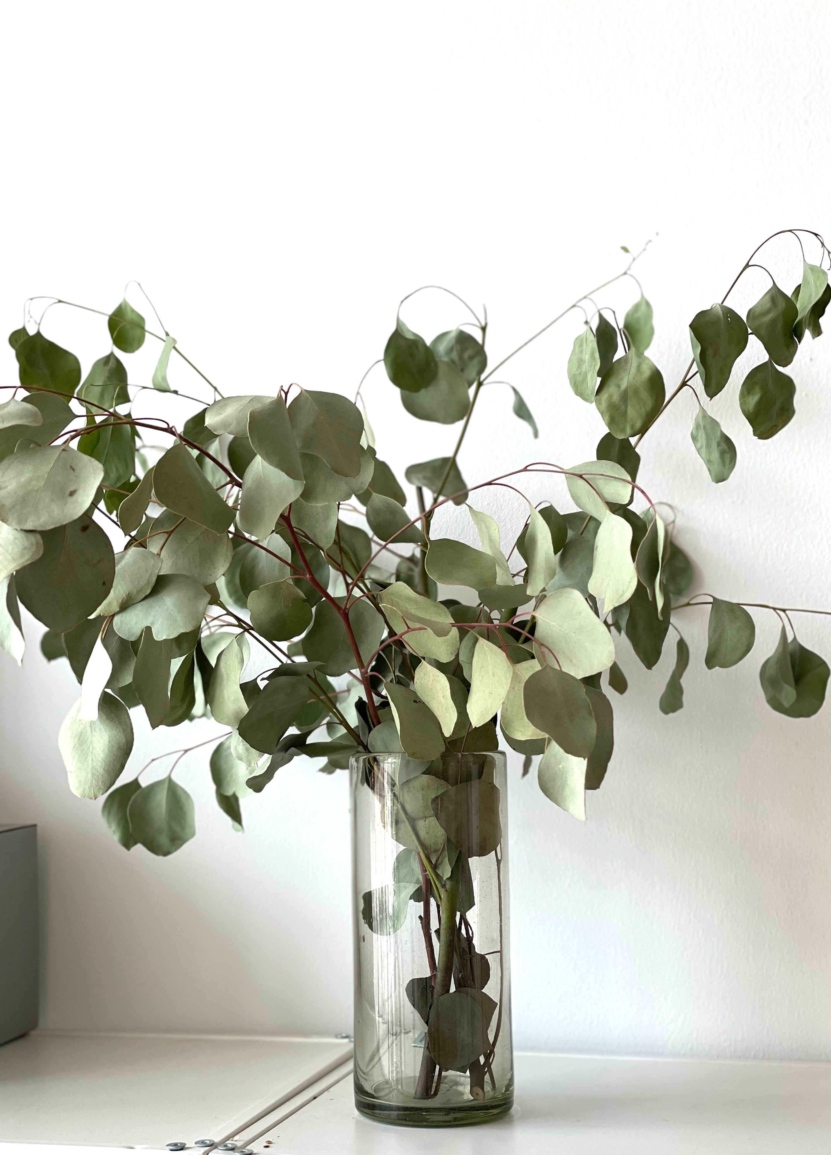 Mexican Handblown Cylinder Glass Vase